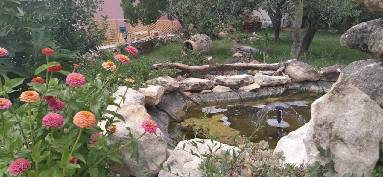 Albero Della Musica Bed and Breakfast Sassari Eksteriør billede