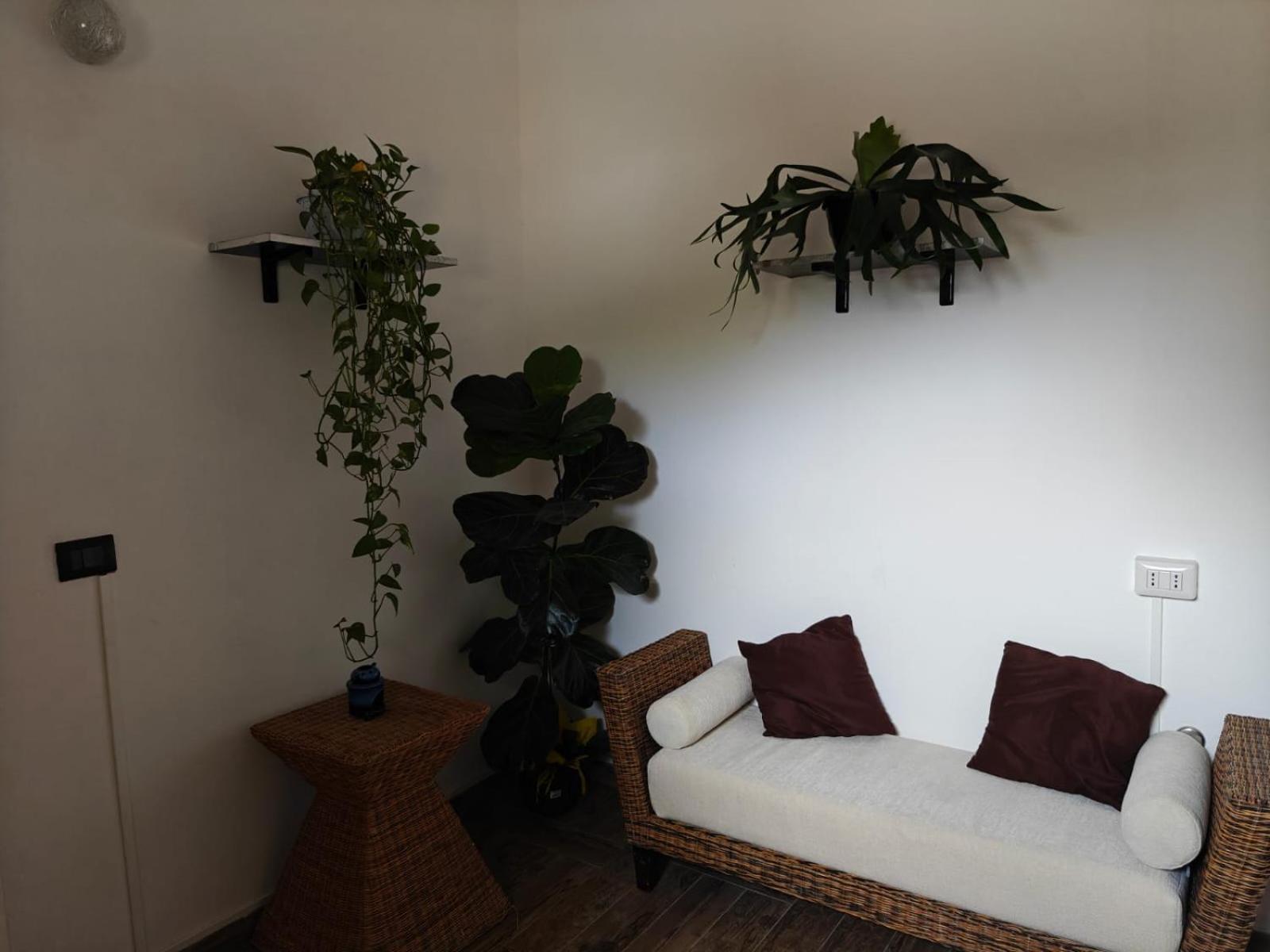 Albero Della Musica Bed and Breakfast Sassari Eksteriør billede